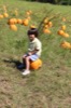 resIMG_20141004_131302_3418.JPG